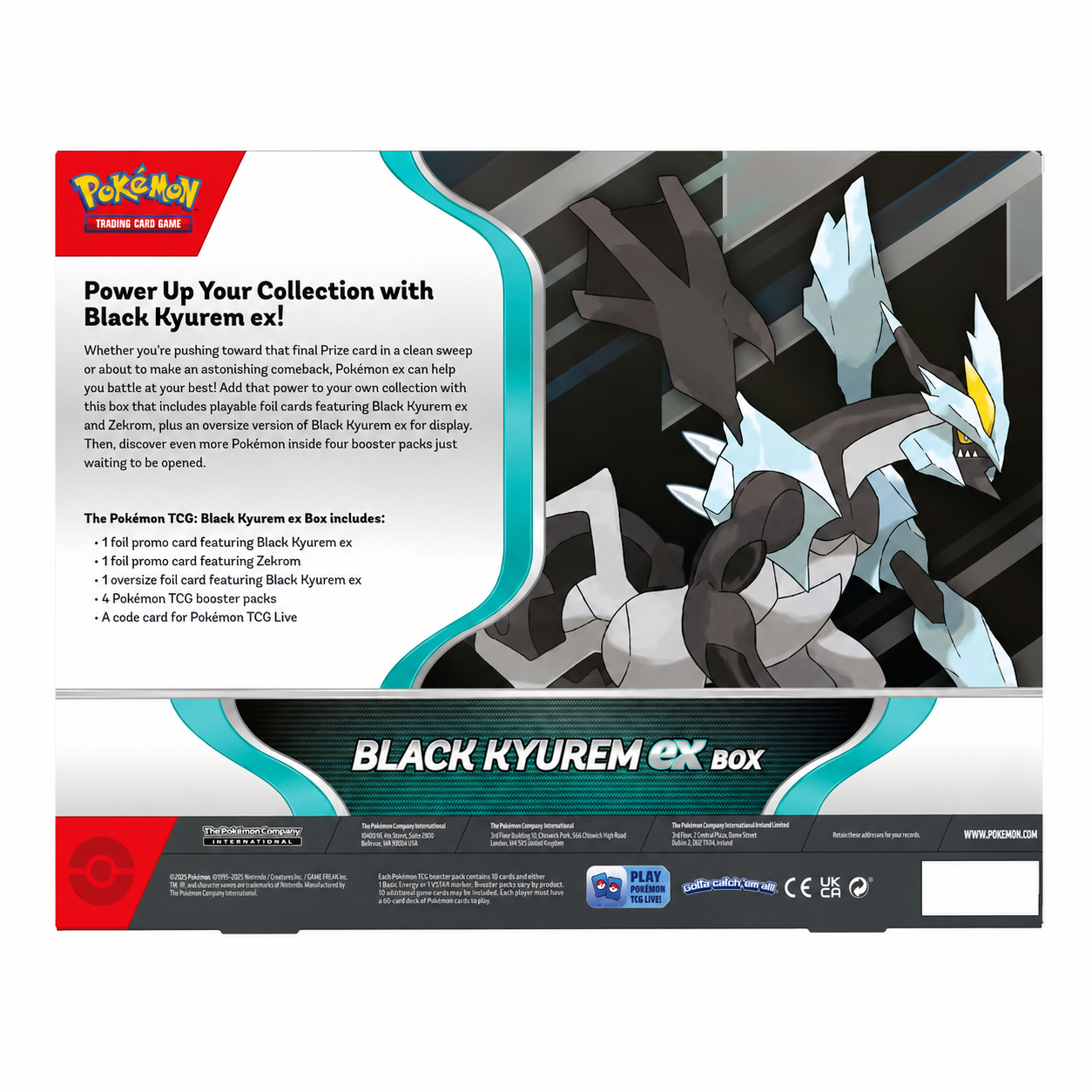 Back of 2025 Pokémon Black Kyurem ex Box showing Black Kyurem artwork, product details, and included contents