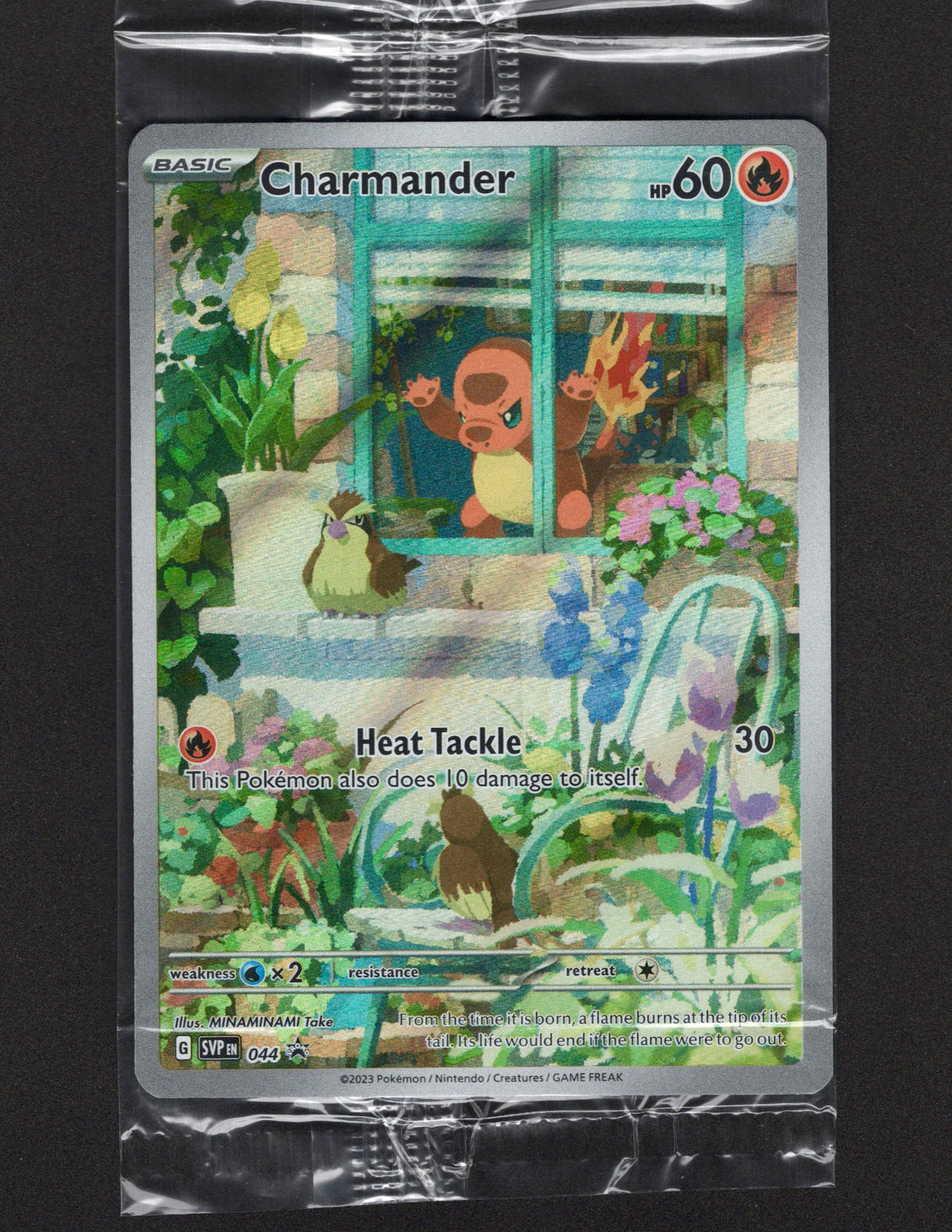 Front of the factory-sealed 2023 Pokémon Obsidian Flames Charmander SVP 044 Black Star Promo card.